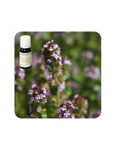 TOMILLO común QT Tuyanol Aceite Esencial 5 ml. PRANAROM