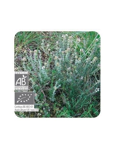 TOMILLO Común QT Linalol Aceite Esencial BIO 5ml - PRANAROM