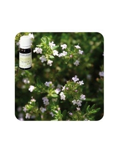 TOMILLO MARROQUÍ, Ac. Esencial 10 ml. PRANAROM