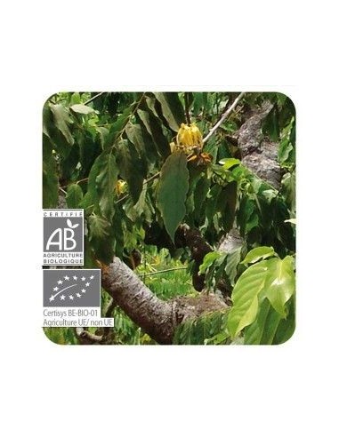YLANG-YLANG, Ac. Esencial BIO 5 ml. PRANAROM