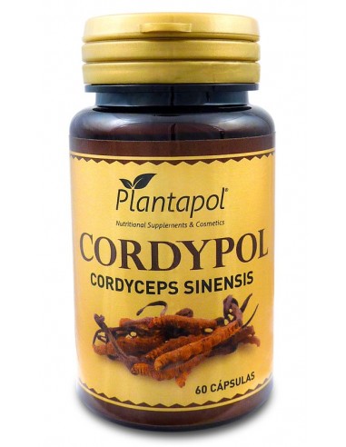 CORDYPOL (Cordiceps sinensis) 60 cap. PLANTAPOL