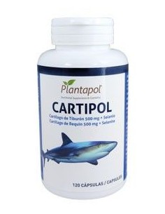 CARTIPOL 120 CAP. 500 mg, PLANTAPOL