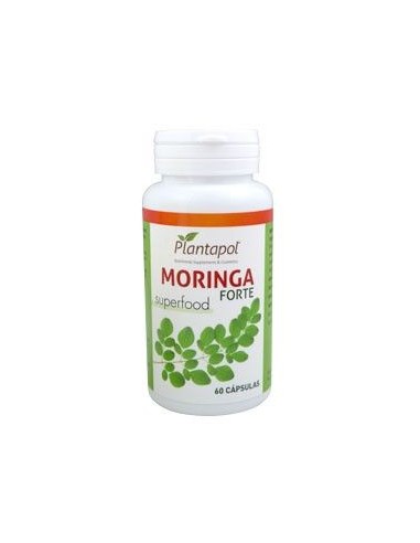 MORINGA FORTE 60 Cap. 750 mg PLANTAPOL