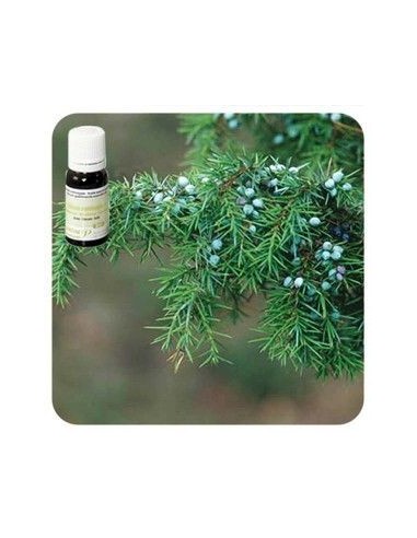 ENEBRO COMÚN, Ac. Esencial 5 ml. PRANAROM